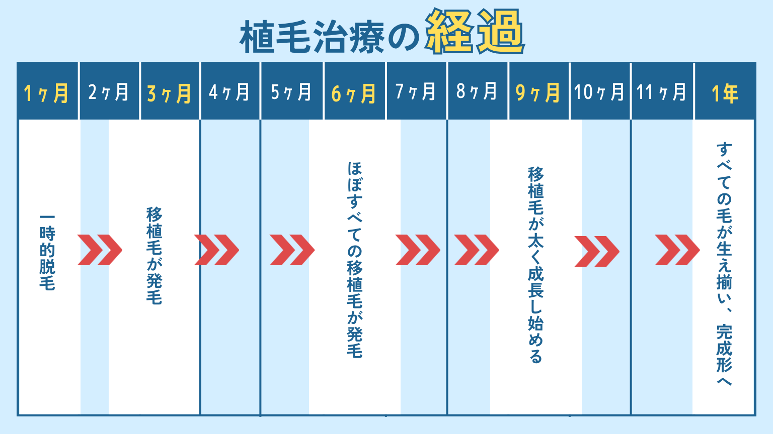 自毛植毛による発毛の経過